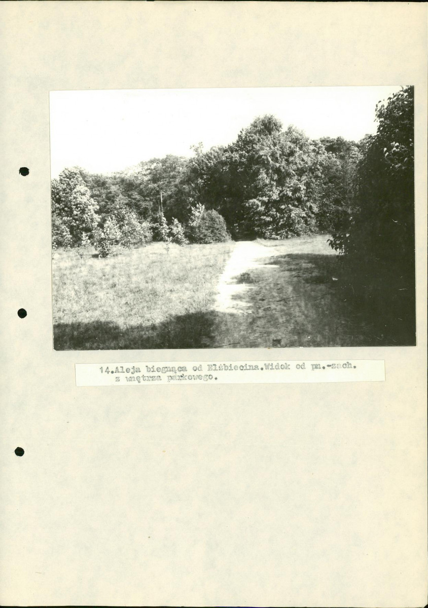 EP - Ewidencja parkowa, skan nr 47
