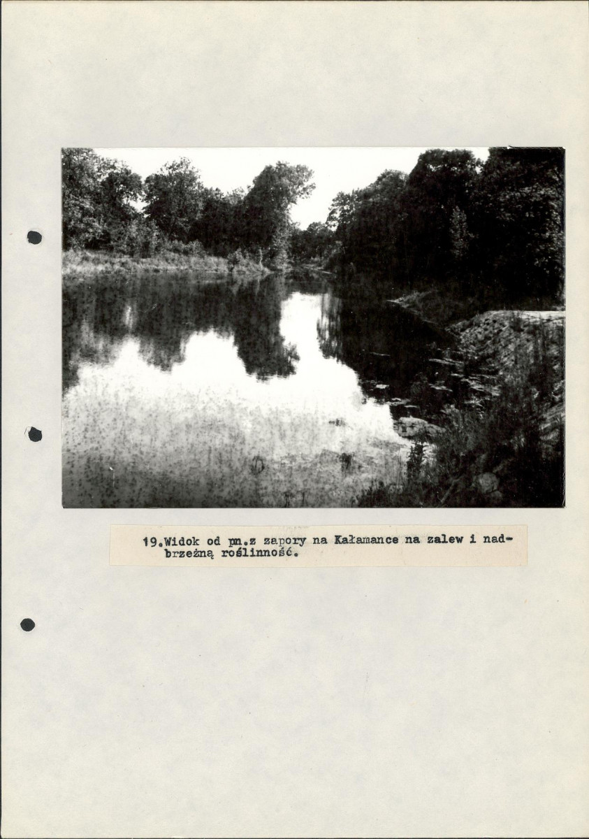 EP - Ewidencja parkowa, skan nr 52