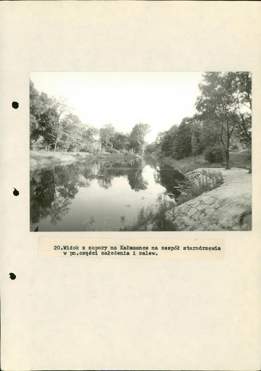 EP - Ewidencja parkowa, skan nr 53