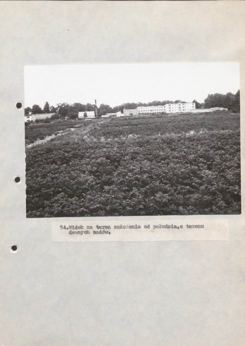 Ewidencja parkowa, skan nr 91