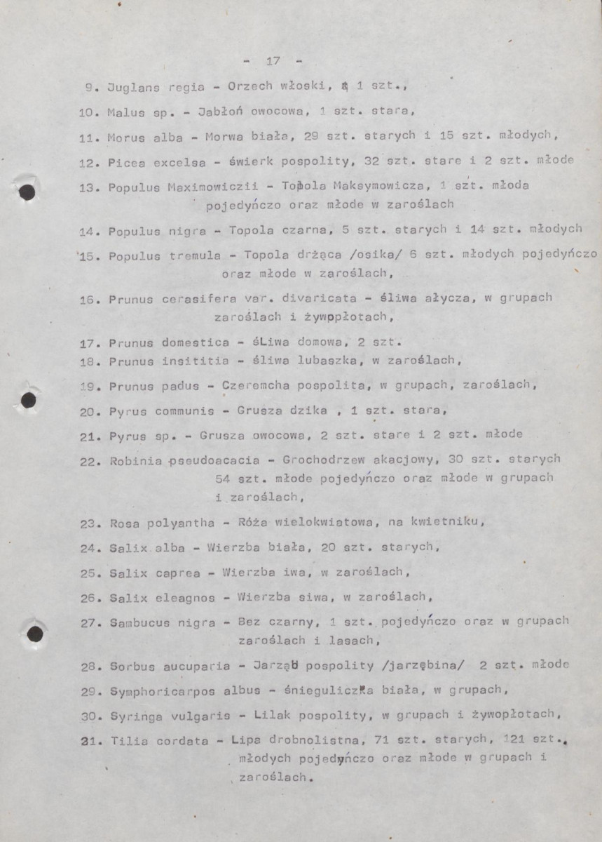 Ewidencja parkowa, skan nr 22