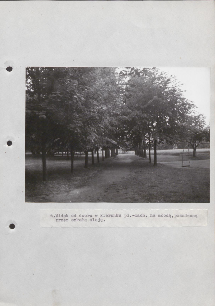 Ewidencja parkowa, skan nr 39
