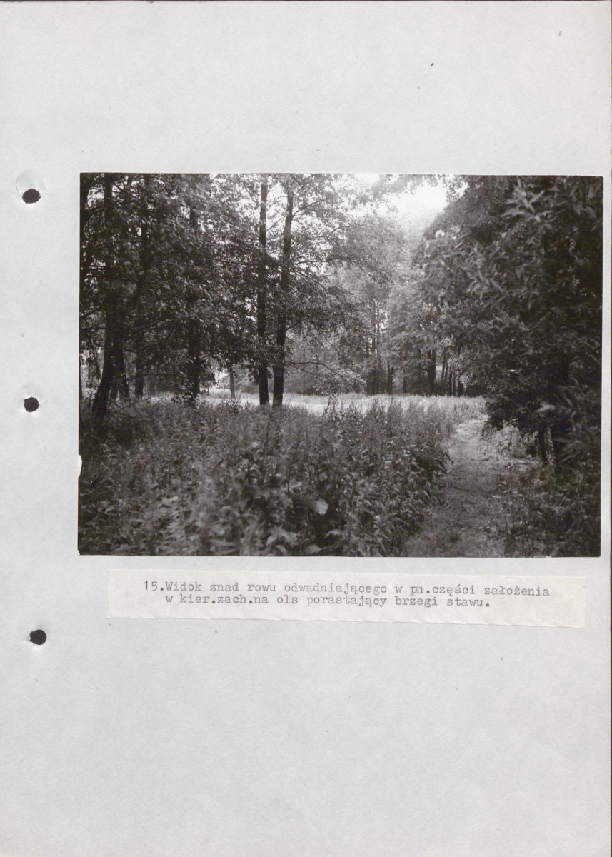 Ewidencja parkowa, skan nr 48