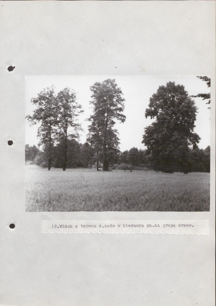 Ewidencja parkowa, skan nr 52