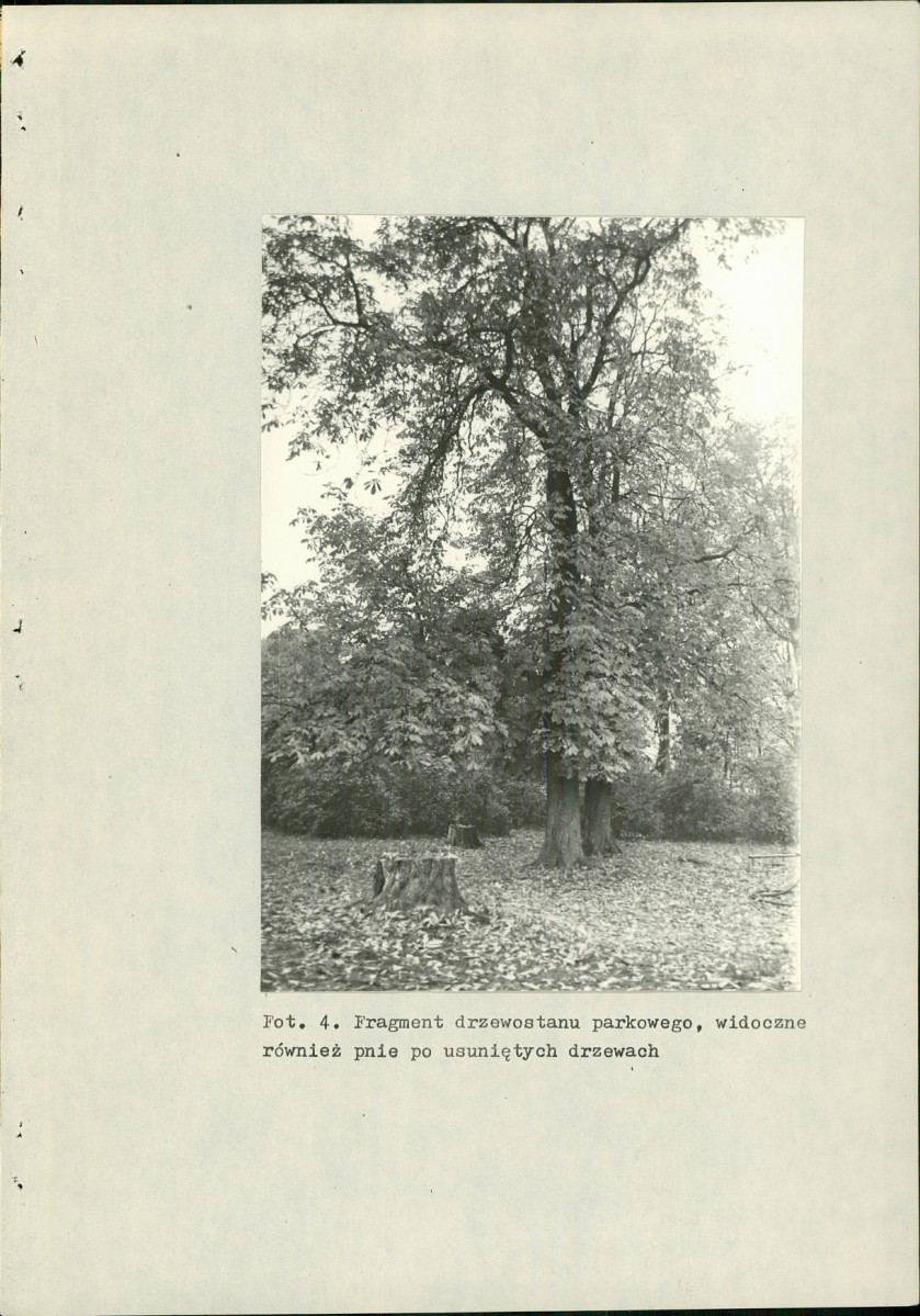 EP - Ewidencja parkowa, skan nr 21