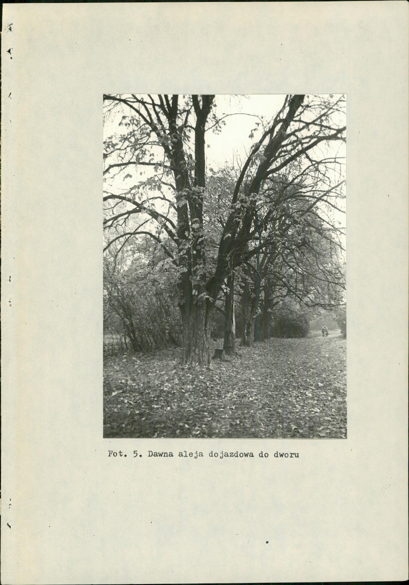 EP - Ewidencja parkowa, skan nr 22