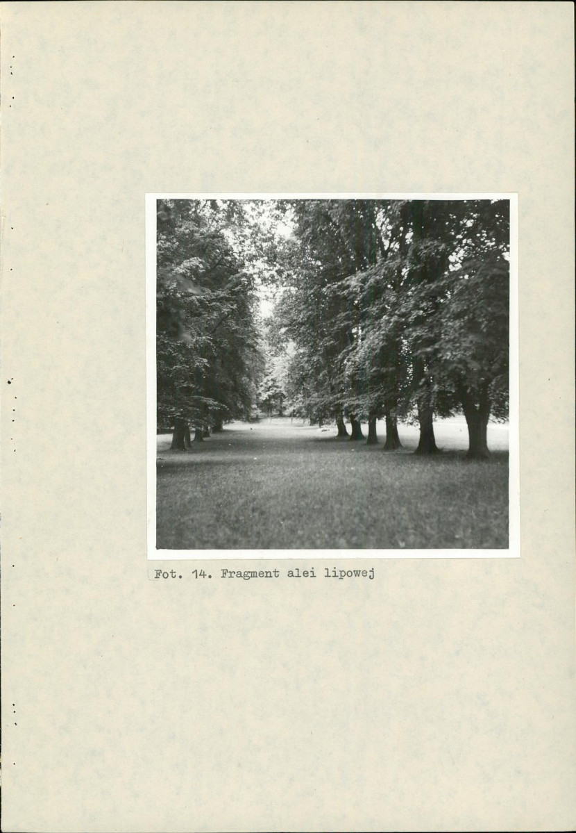 EP - Ewidencja parkowa, skan nr 41