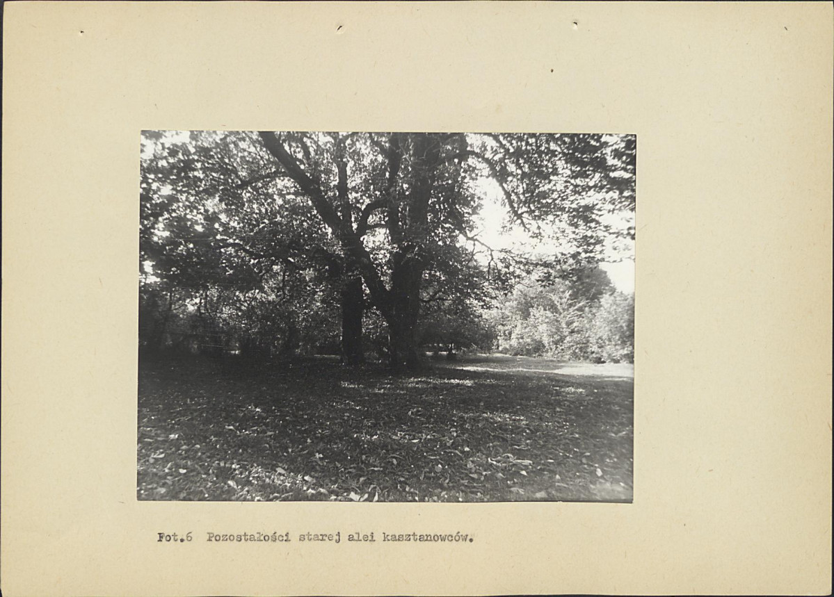 Ewidencja parkowa, skan nr 41