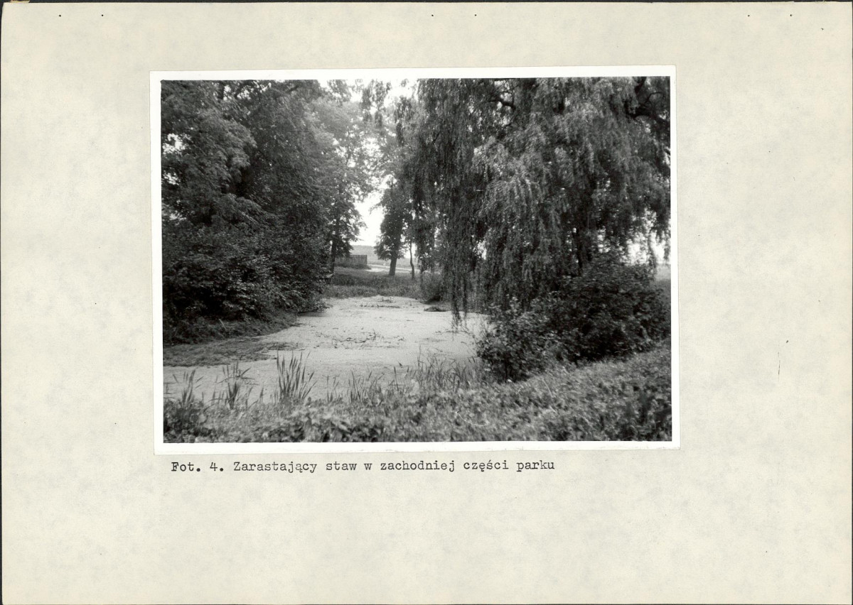 EP - Ewidencja parkowa, skan nr 19