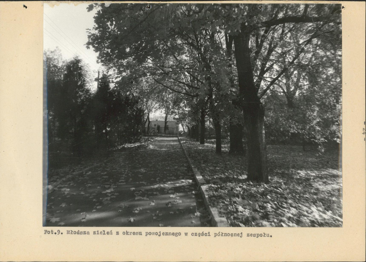 Ewidencja parkowa, skan nr 36