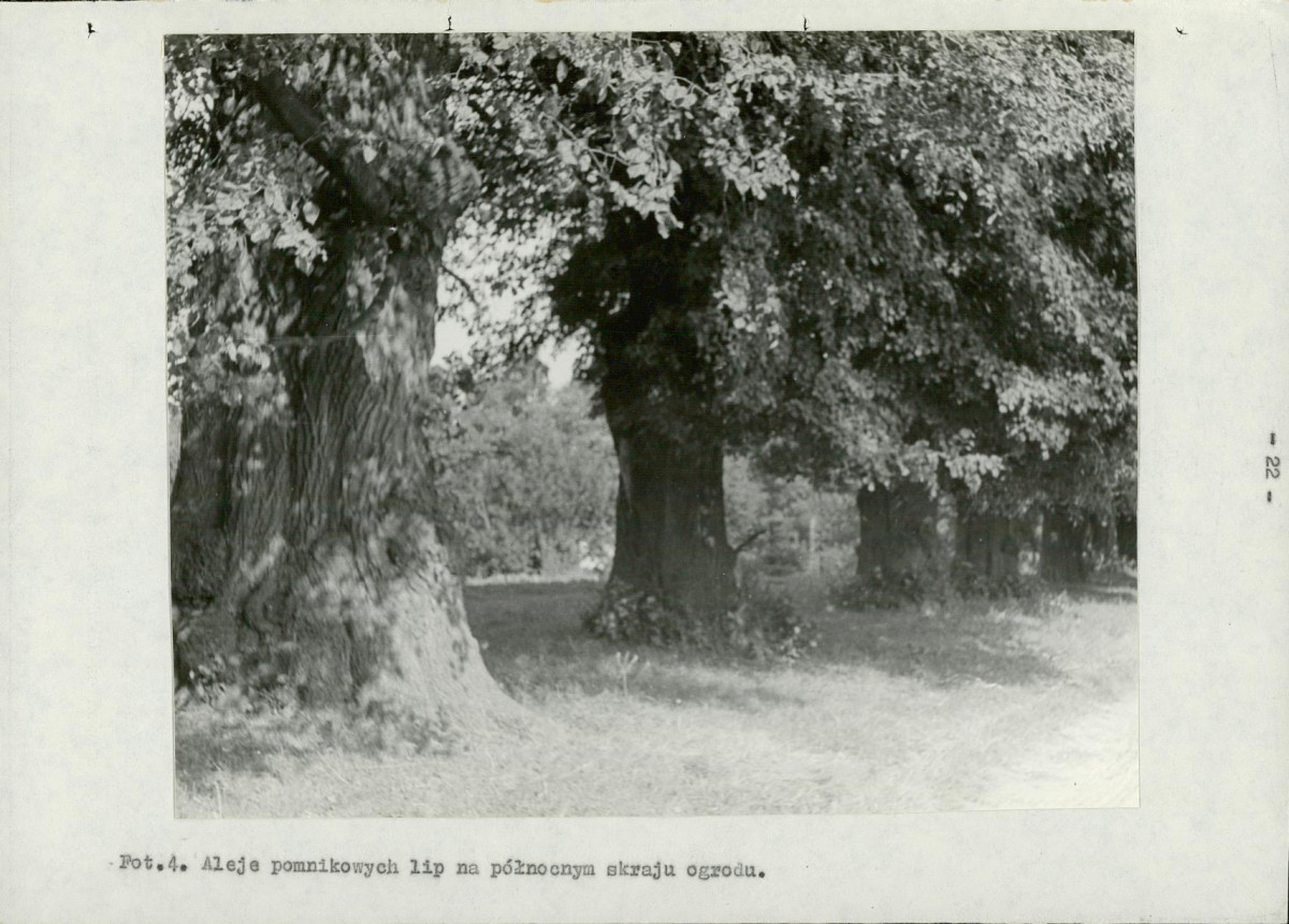 EP - Ewidencja parkowa, skan nr 33
