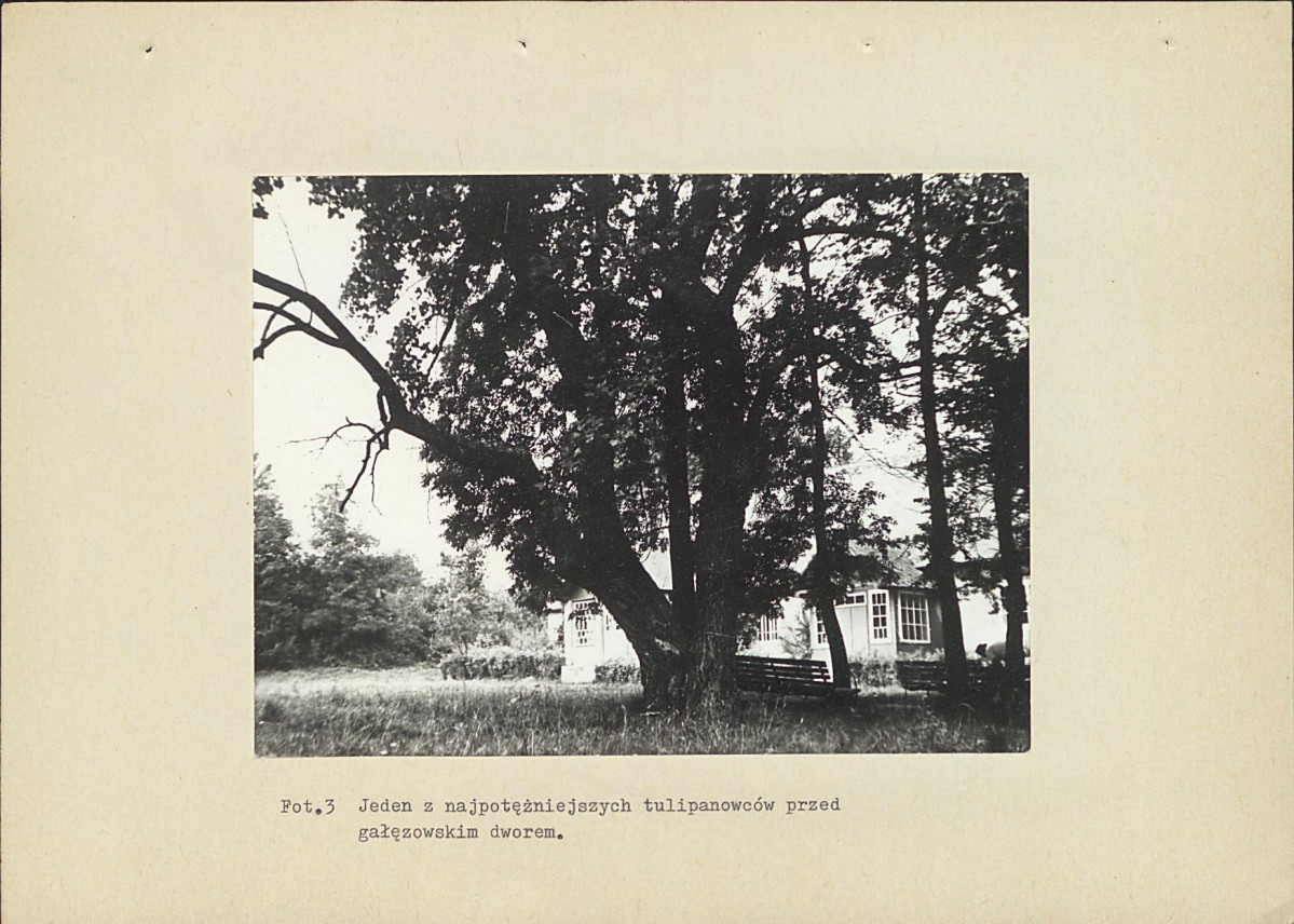 EP - Ewidencja parkowa, skan nr 40