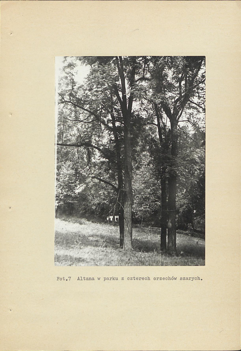 EP - Ewidencja parkowa, skan nr 44