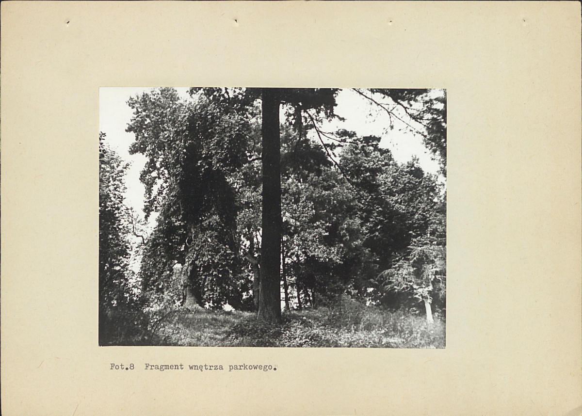 EP - Ewidencja parkowa, skan nr 45