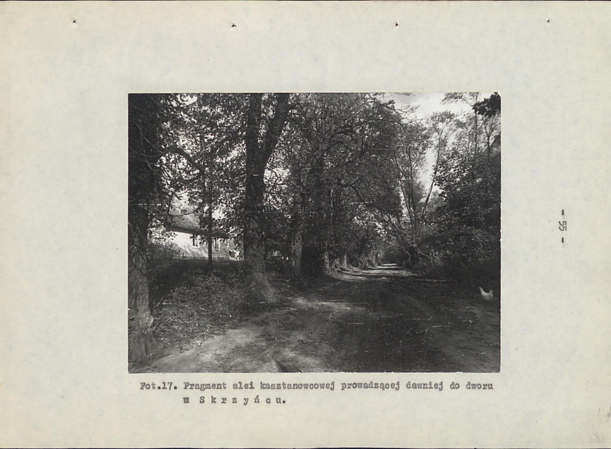 EP - Ewidencja parkowa, skan nr 73