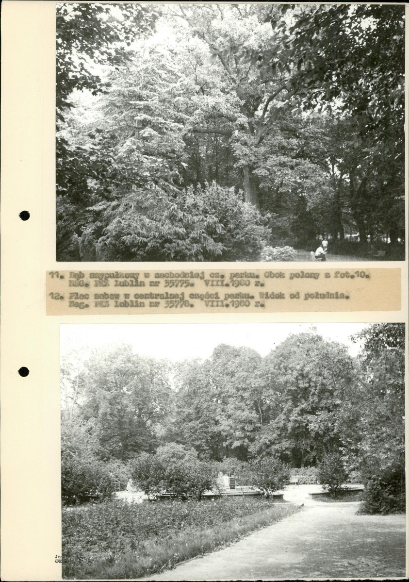 Ewidencja parkowa, skan nr 27