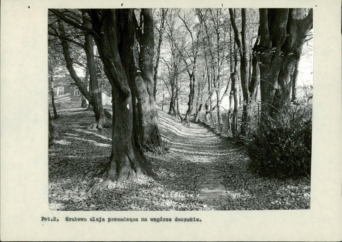 Ewidencja parkowa, skan nr 32