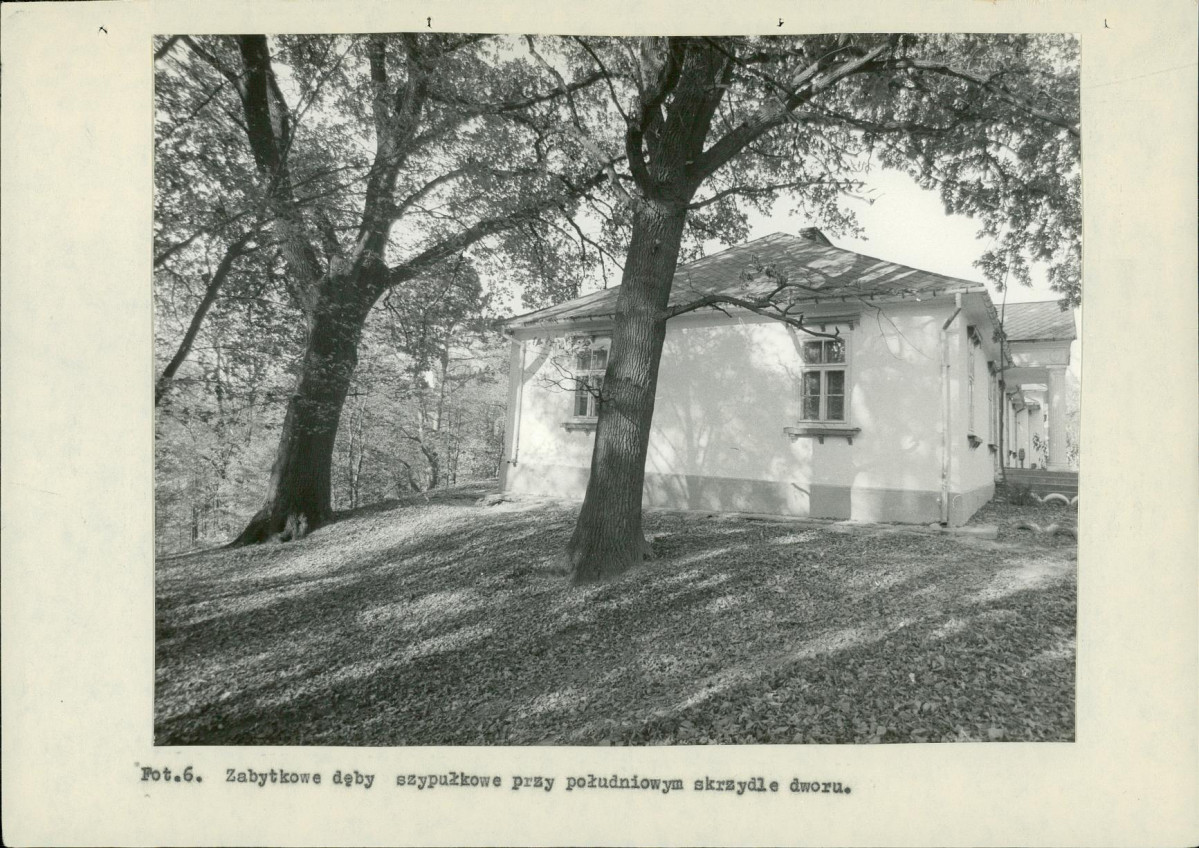 Ewidencja parkowa, skan nr 36