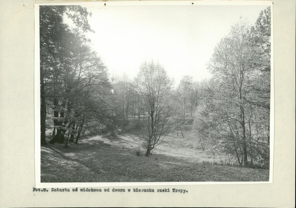 Ewidencja parkowa, skan nr 38
