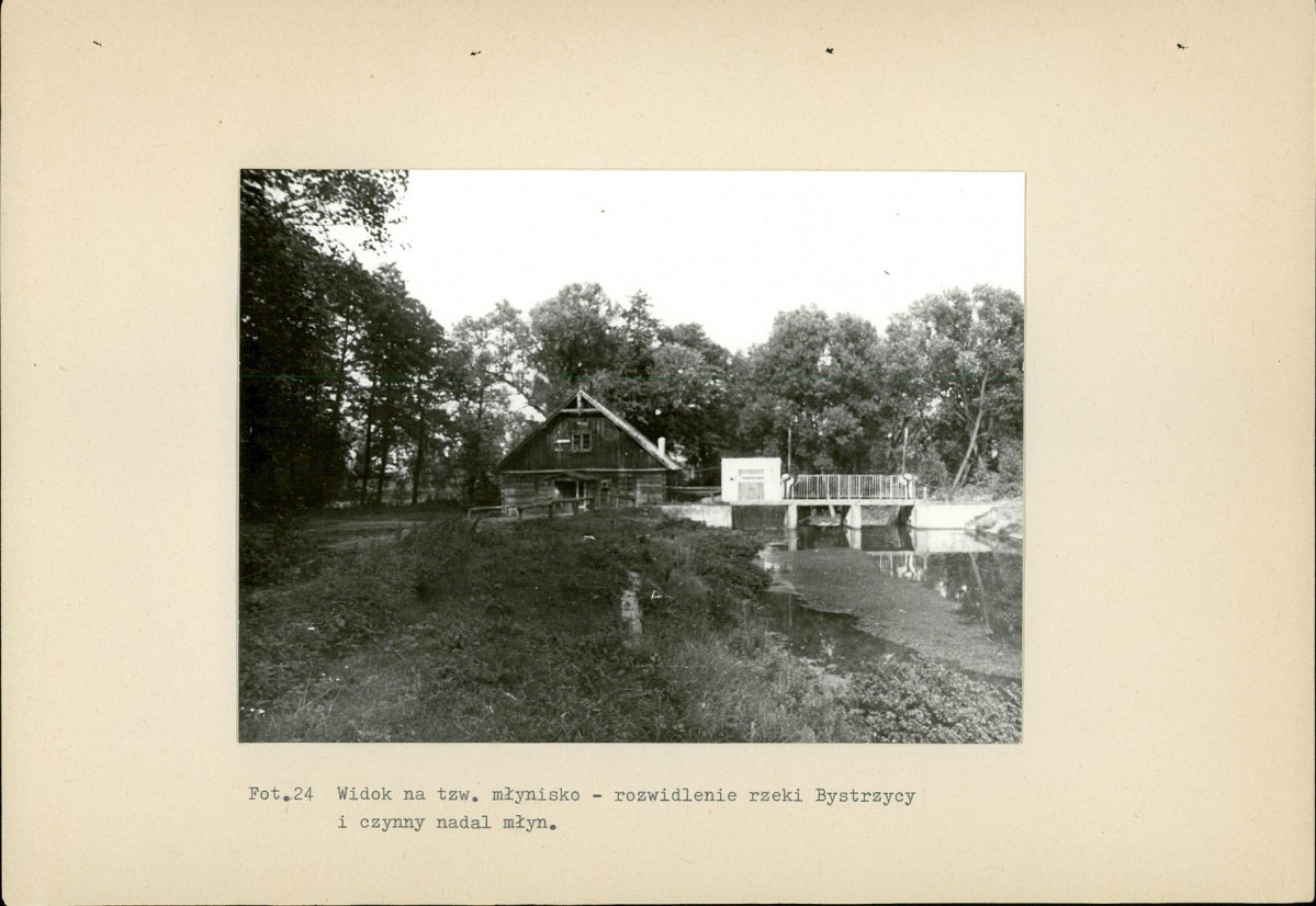 EP - Ewidencja parkowa, skan nr 59