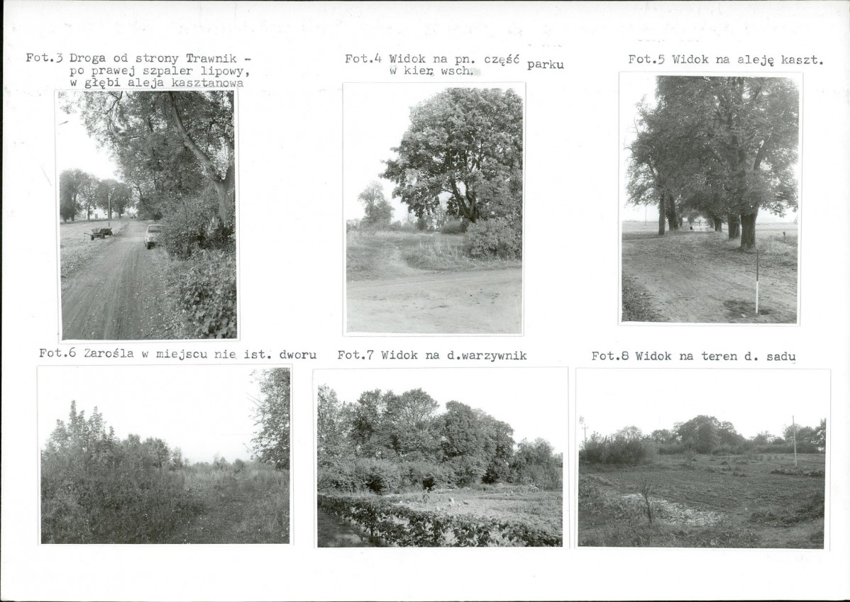 Karta biała, skan nr 6