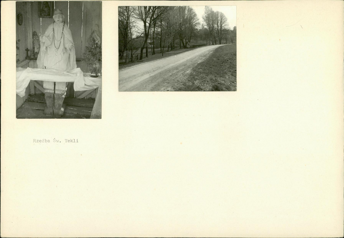 Karta biała, skan nr 6