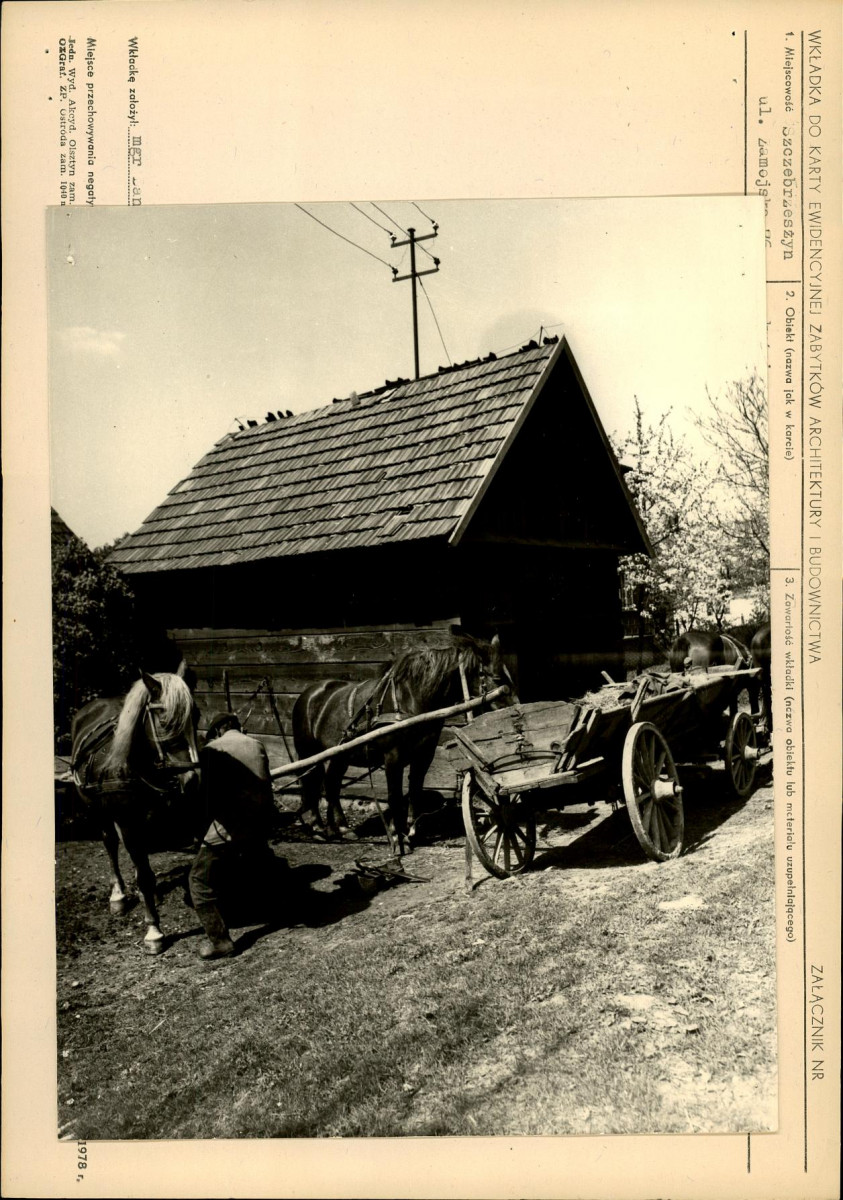 KB - Karta biała, skan nr 5