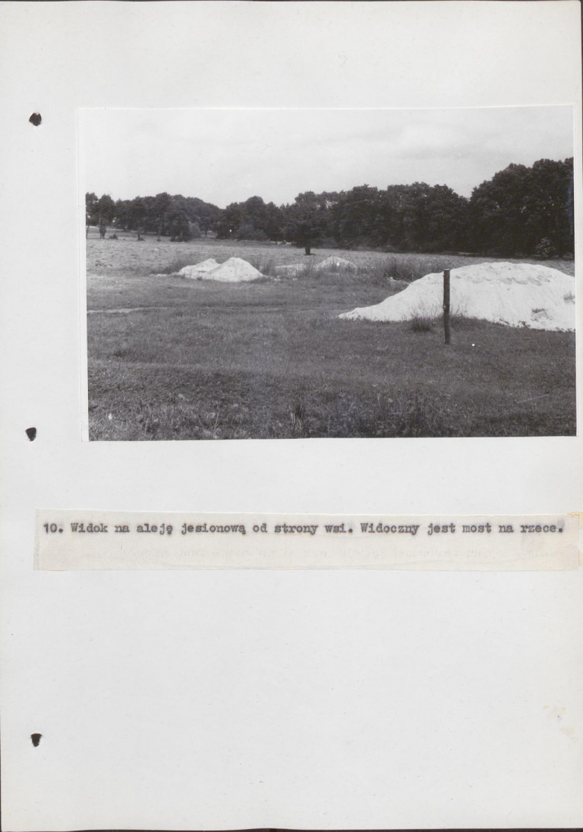 Ewidencja parkowa, skan nr 40