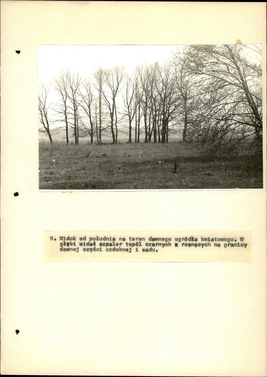 EP - Ewidencja parkowa, skan nr 33
