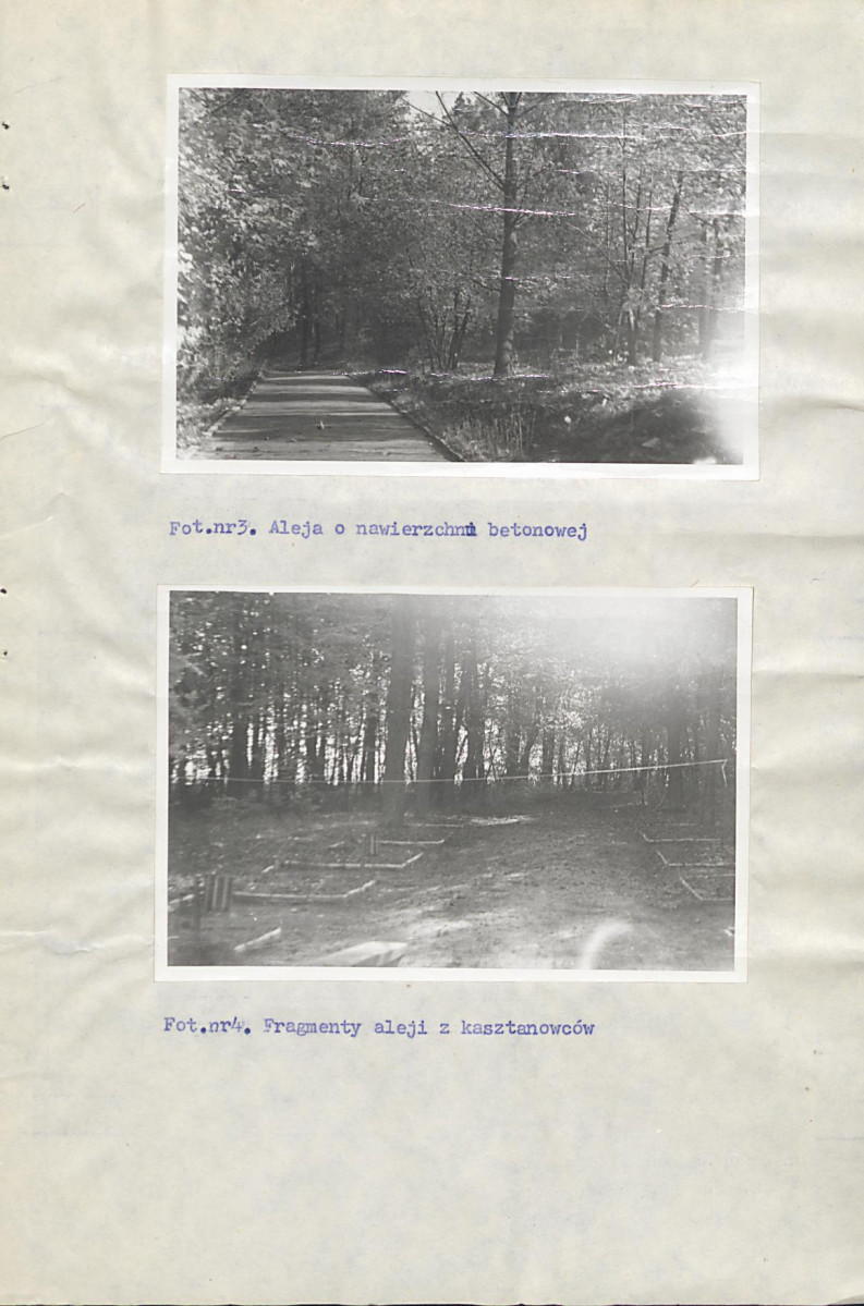 EP - Ewidencja parkowa, skan nr 19