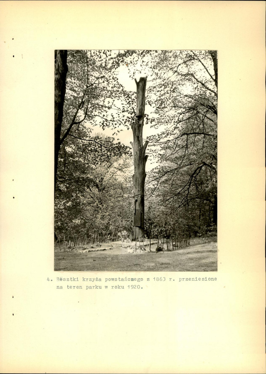 Ewidencja parkowa, skan nr 26