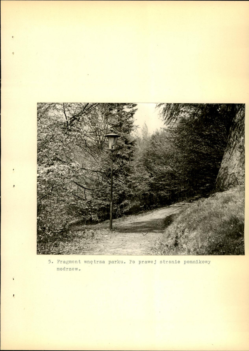 Ewidencja parkowa, skan nr 27