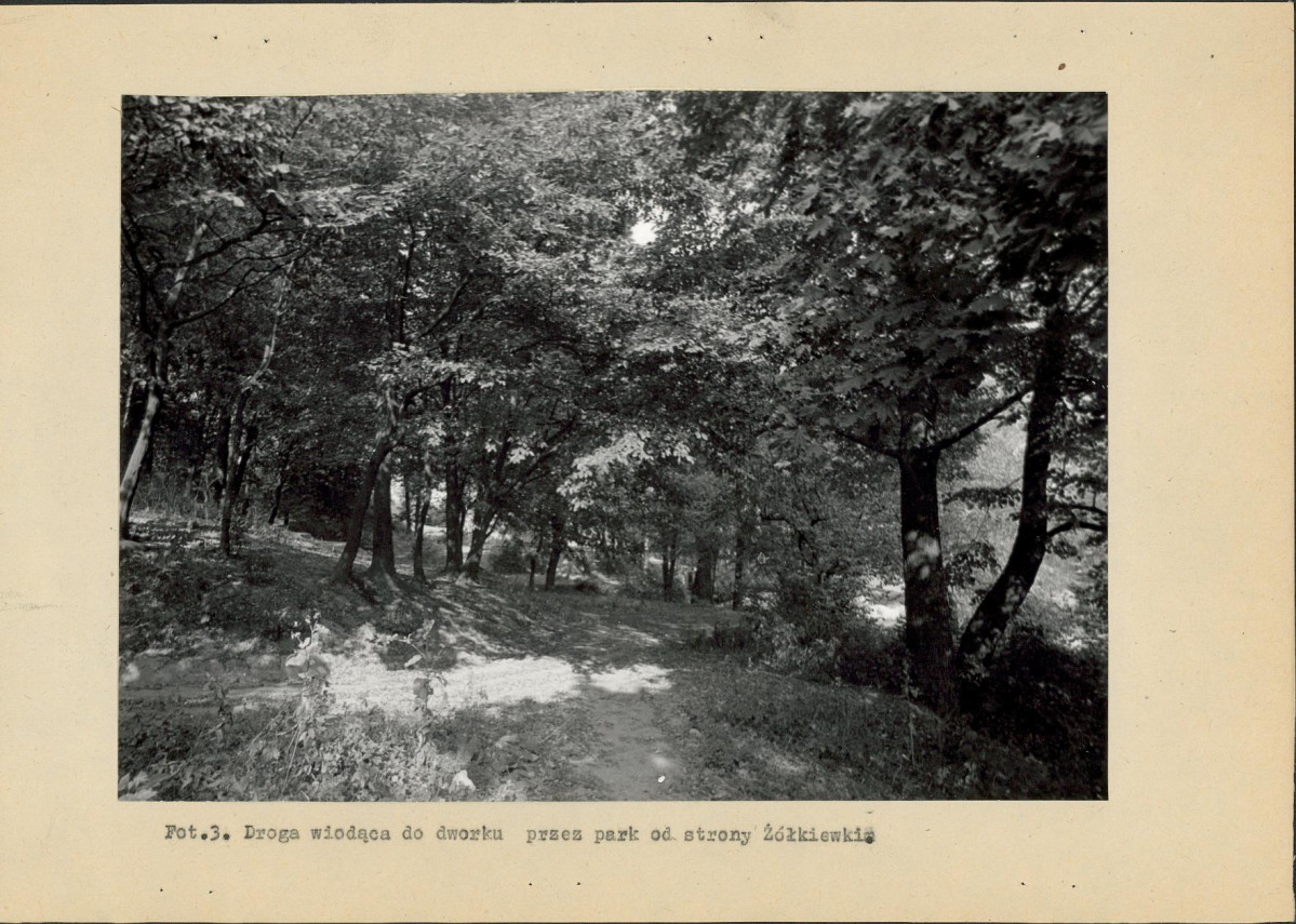 EP - Ewidencja parkowa, skan nr 28