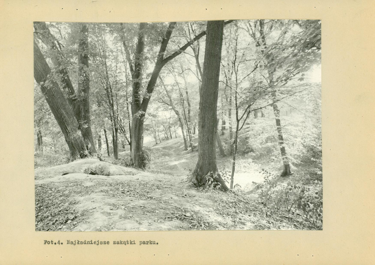 EP - Ewidencja parkowa, skan nr 29