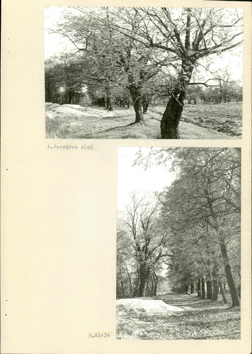 Ewidencja parkowa, skan nr 16