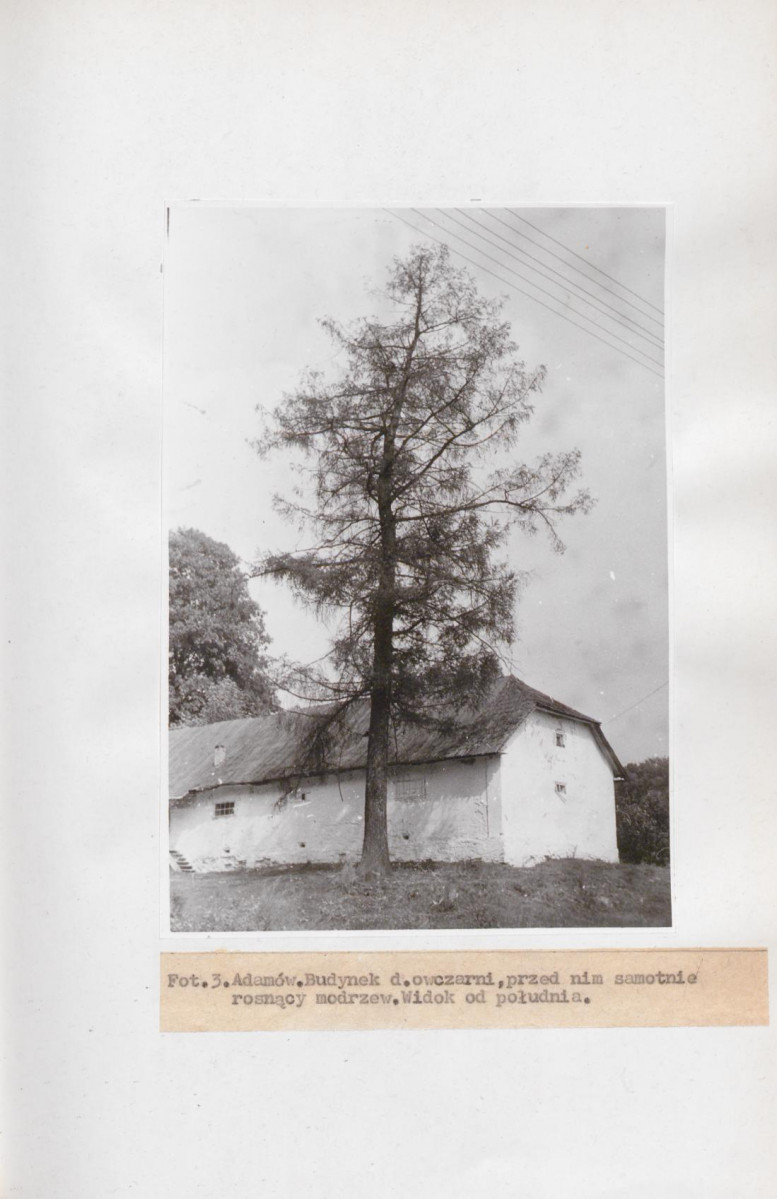Ewidencja parkowa, skan nr 24