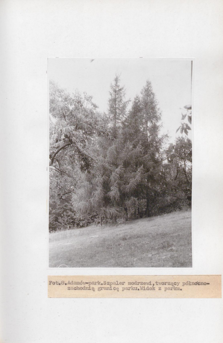 Ewidencja parkowa, skan nr 29