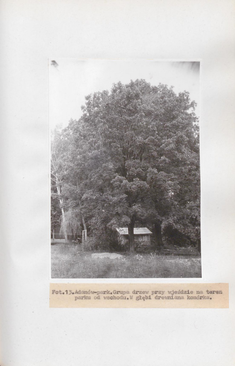 Ewidencja parkowa, skan nr 34