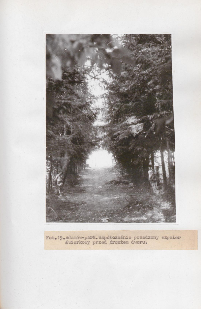 Ewidencja parkowa, skan nr 36
