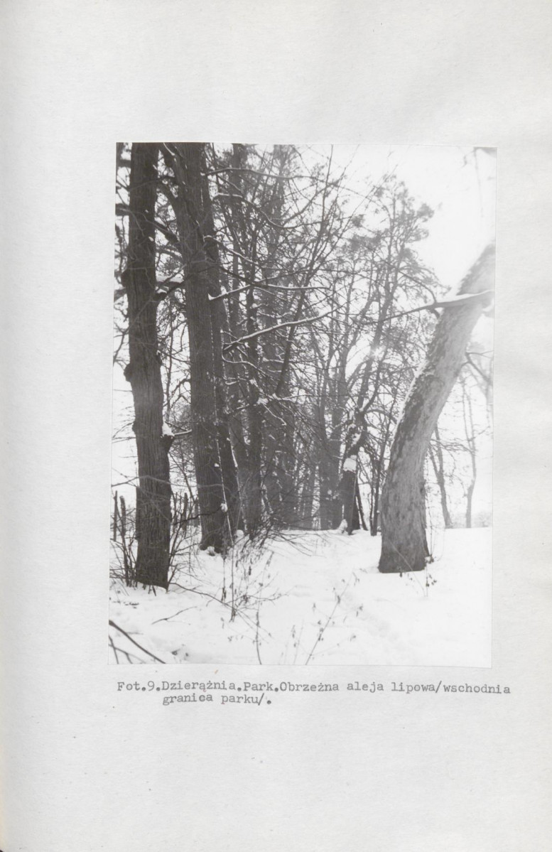EP - Ewidencja parkowa, skan nr 29