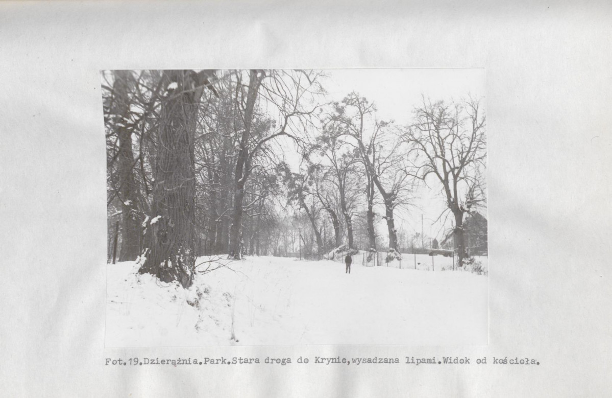 EP - Ewidencja parkowa, skan nr 39