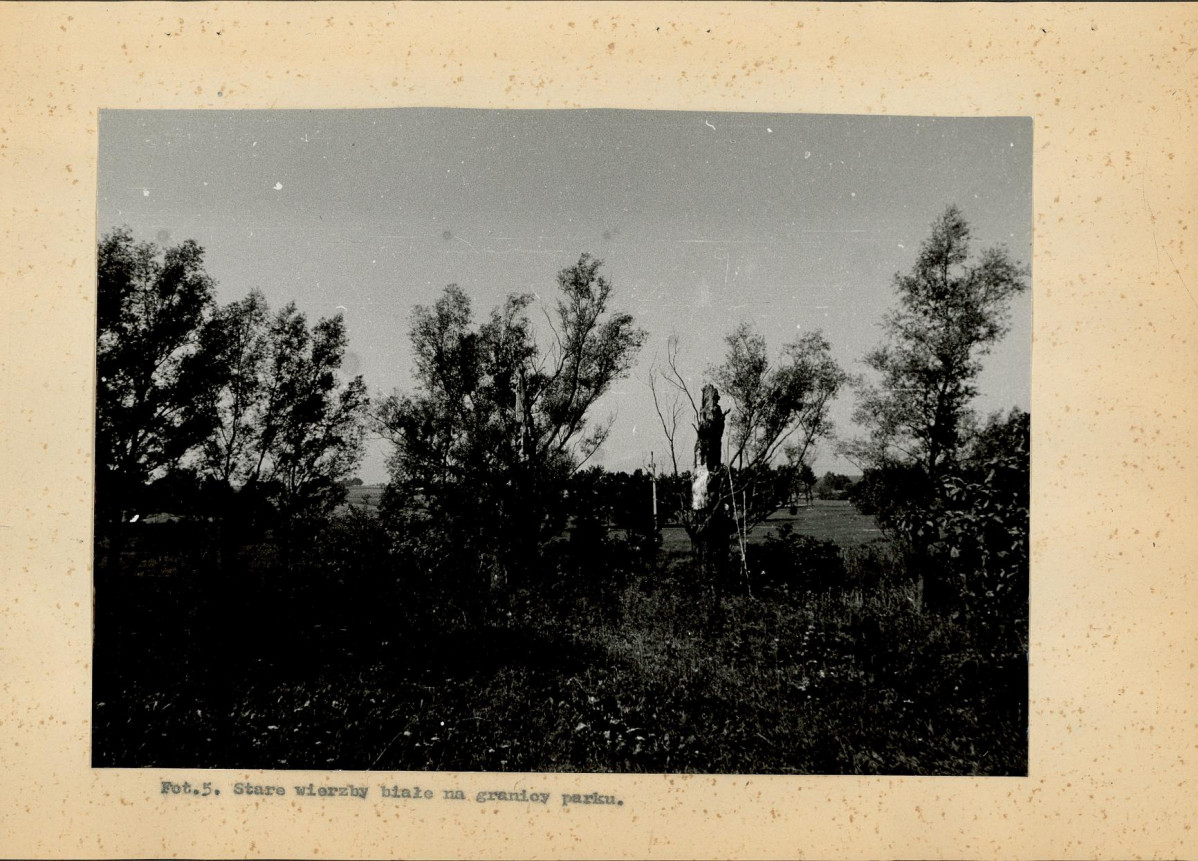 Ewidencja parkowa, skan nr 26