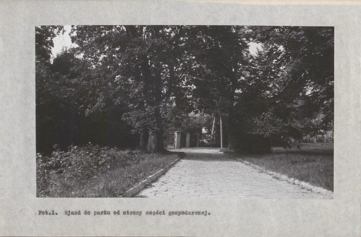 EP - Ewidencja parkowa, skan nr 46