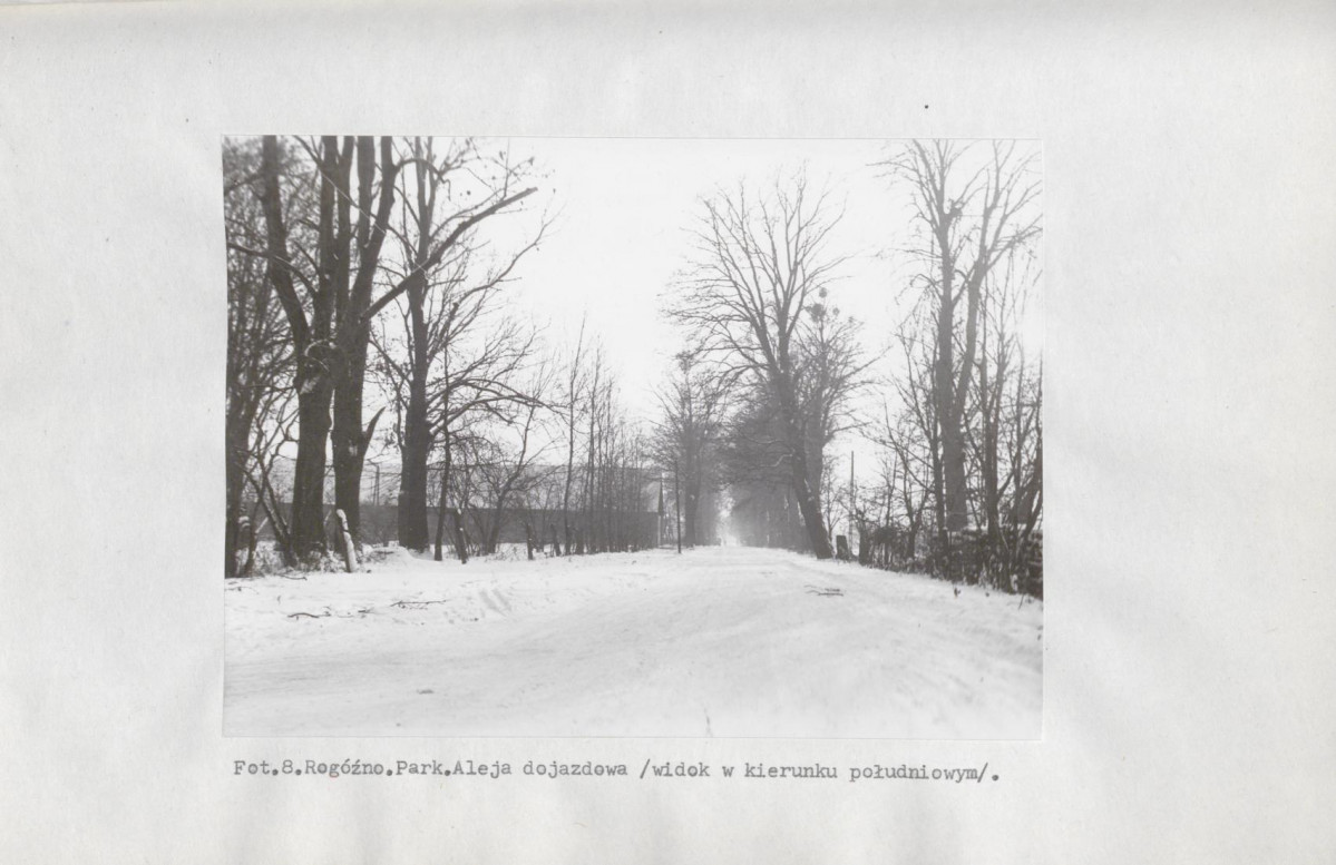 EP - Ewidencja parkowa, skan nr 26