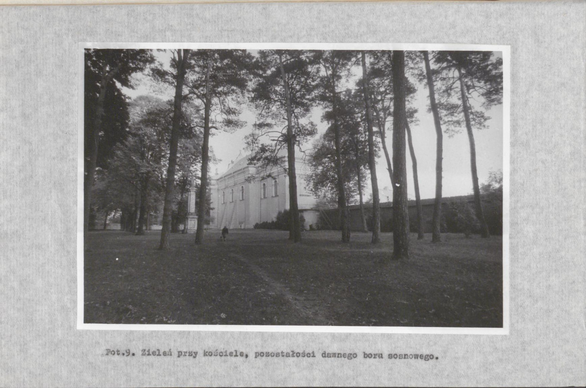 EP - Ewidencja parkowa, skan nr 44