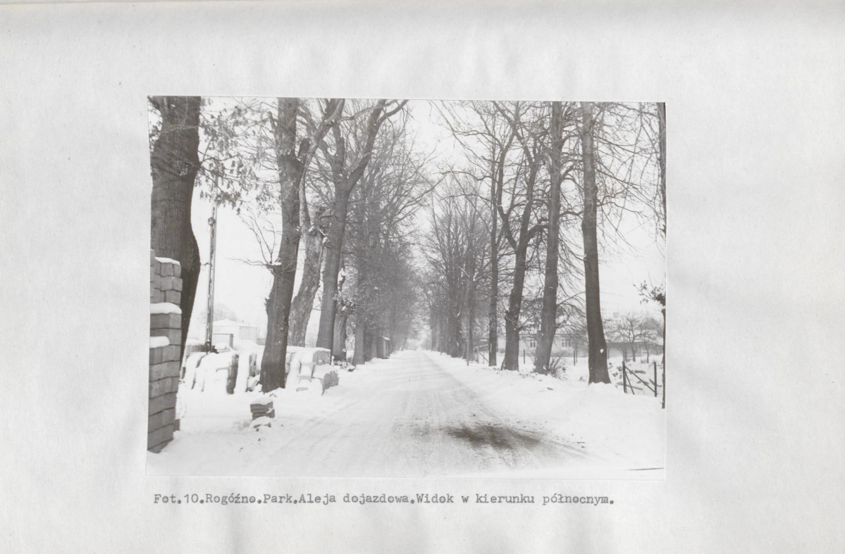 EP - Ewidencja parkowa, skan nr 28