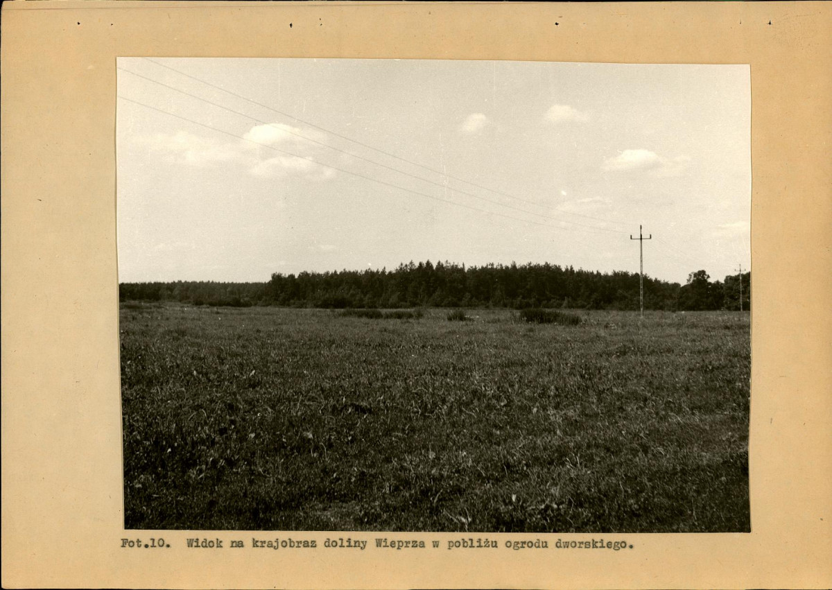 Ewidencja parkowa, skan nr 44