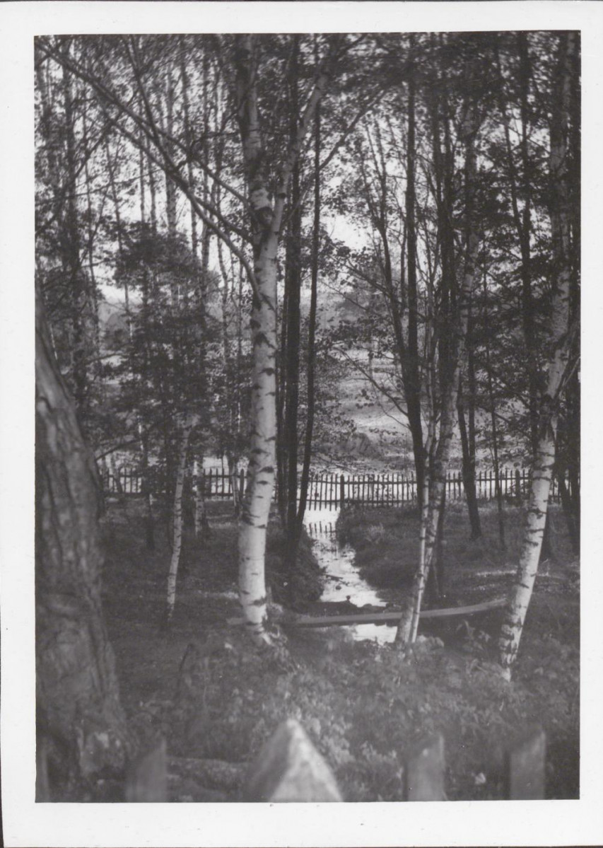 EP - Ewidencja parkowa, skan nr 62
