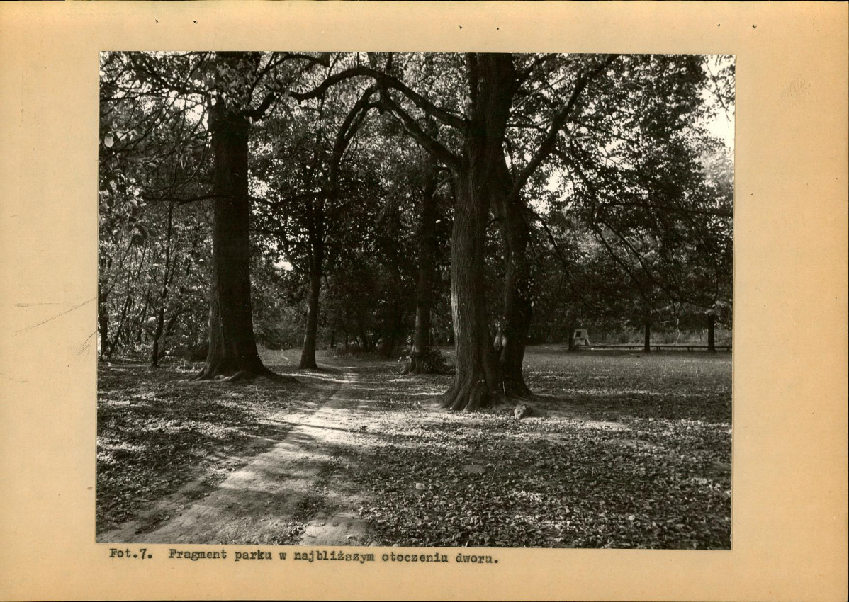 Ewidencja parkowa, skan nr 29