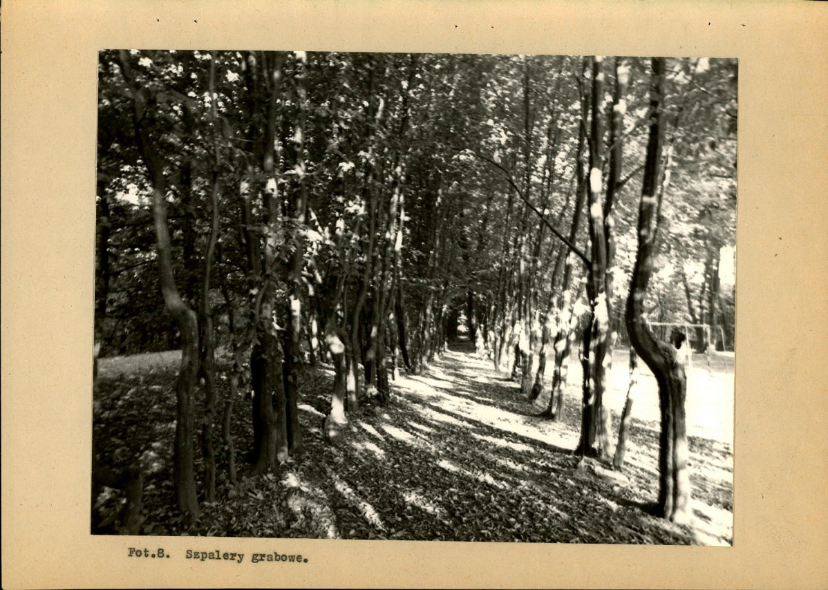 Ewidencja parkowa, skan nr 30